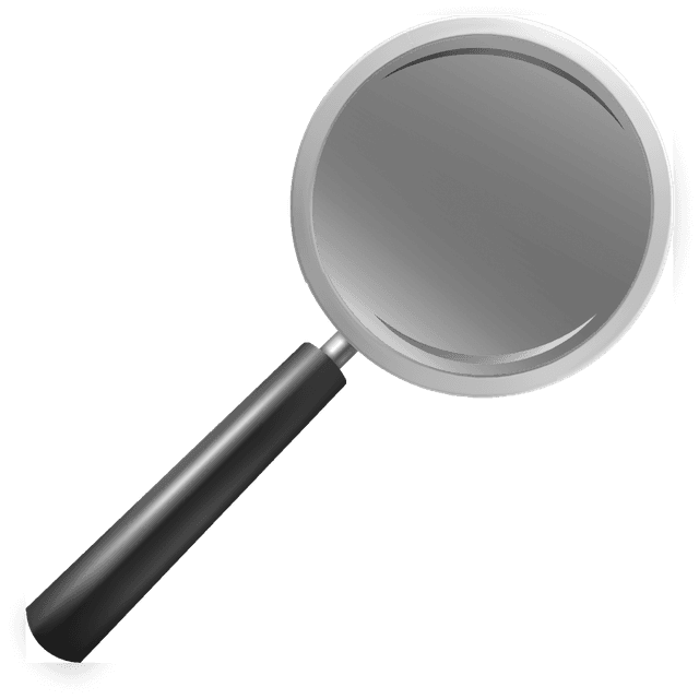 Search magnifier